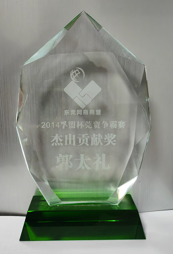 Outstanding contribution